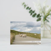 アイルランドのバーはがき ポストカード (スタンド正面)