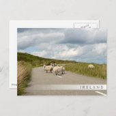 アイルランドのバーはがき ポストカード (正面/裏面)