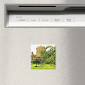 アイルランドのブラニー城 マグネット (インサイチュ (食洗機))