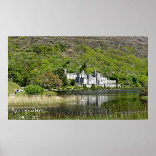 アイルランドのポスター画像 ポスター (正面)