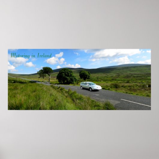 アイルランドのポスター画像 ポスター (正面)