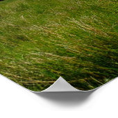 アイルランドのポスター画像 ポスター (角)