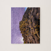 アイルランドの写真パズル – ギフト付きボックス ジグソーパズル (縦)