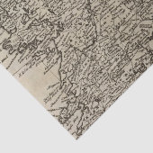 アイルランドの地図 薄葉紙 (詳細)
