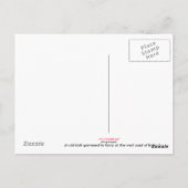 アイルランドの墓地はがき ポストカード (裏面)