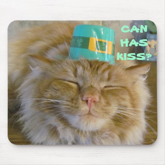 アイルランドの子猫はキスがほしいと思います マウスパッド (正面)