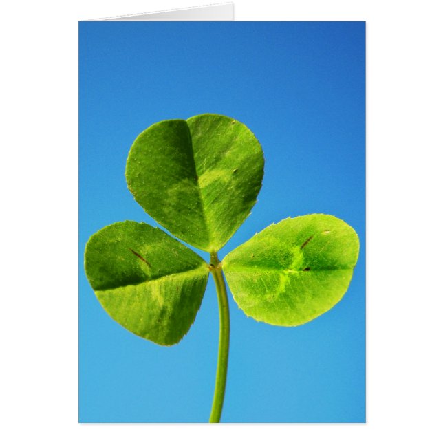 アイルランドの幸運 (正面)