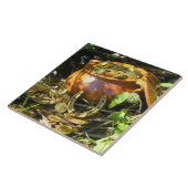 「アイルランドの幸運」 タイル (側面)