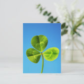 アイルランドの幸運 ポストカード (スタンド正面)