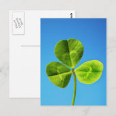 アイルランドの幸運 ポストカード (正面/裏面)