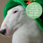 アイルランドの幸運 マグネット