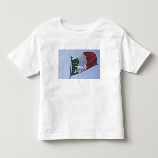 アイルランドの旗 トドラーTシャツ (正面)