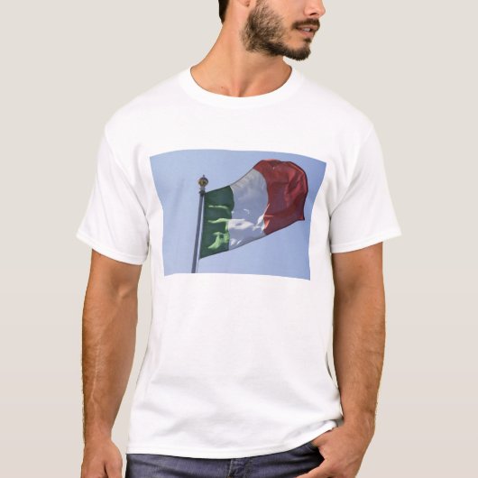 アイルランドの旗 Tシャツ (正面)