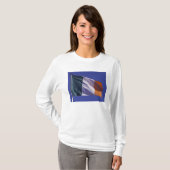 アイルランドの旗 Tシャツ (正面フル)