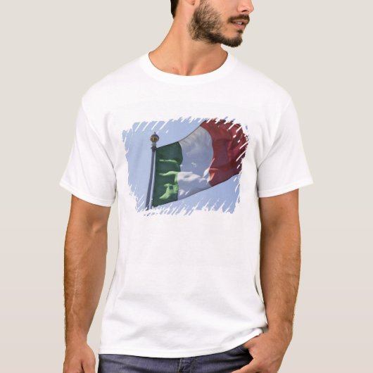 アイルランドの旗 Tシャツ (正面)