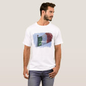 アイルランドの旗 Tシャツ (正面フル)