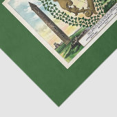 アイルランドの歴史的風土 薄葉紙 (詳細)