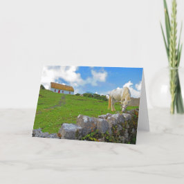 アイルランドの牧場の馬カード カード