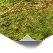 アイルランドの田舎道 ポスター (角)