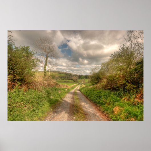 アイルランドの田舎道 ポスター (正面)