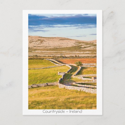 アイルランドの田舎 ポストカード (正面)