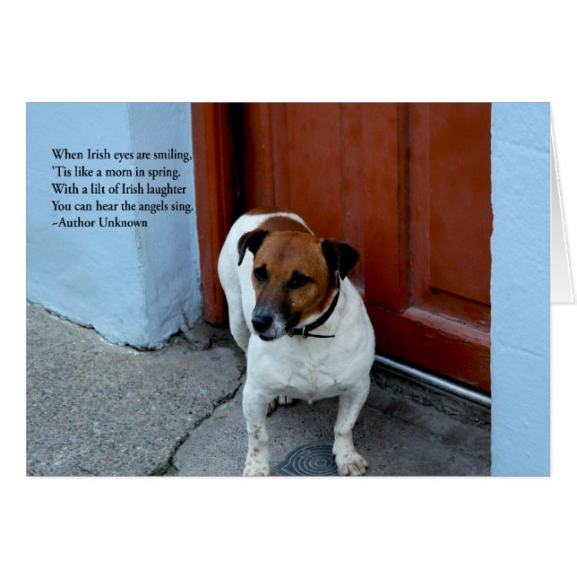 アイルランドの目 (正面横)