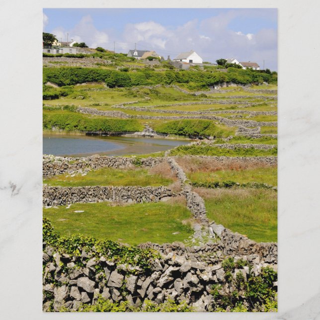 アイルランドの石垣 (正面)