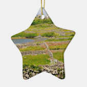 アイルランドの石垣 セラミックオーナメント (左)