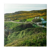 アイルランドの羊 タイル (正面)