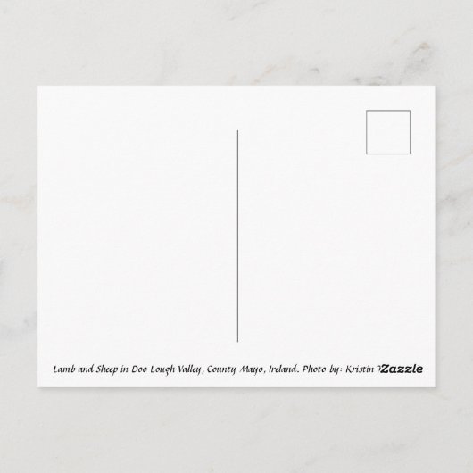 アイルランドの羊、郡マヨ、アイルランドのはがき ポストカード (裏面)