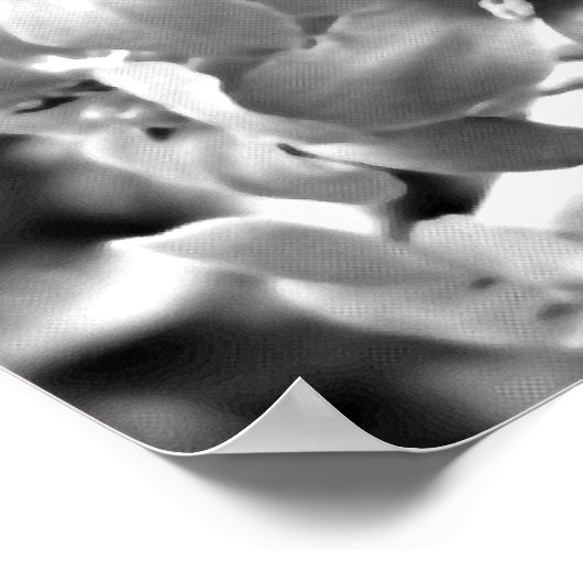 アイルランドの花 ポスター (角)