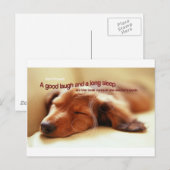 アイルランドの諺と眠る犬 ポストカード (正面/裏面)