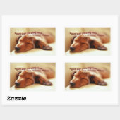 アイルランドの諺と眠る犬 長方形シール (シート)