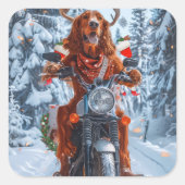 アイルランドの赤いセッタードウッグにオートバイのクリスマスに乗る スクエアシール (正面)