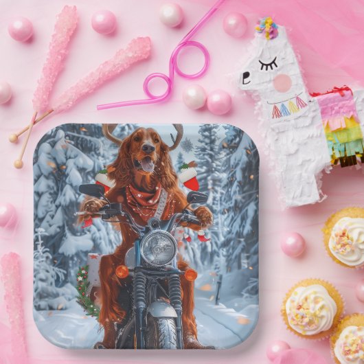 アイルランドの赤いセッタードウッグにオートバイのクリスマスに乗る ペーパープレート (パーティー)