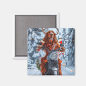 アイルランドの赤いセッタードウッグにオートバイのクリスマスに乗る マグネット (正面/裏面)