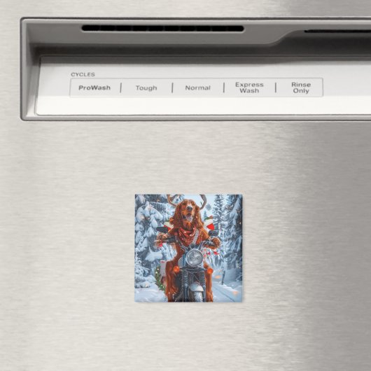 アイルランドの赤いセッタードウッグにオートバイのクリスマスに乗る マグネット (インサイチュ (食洗機))