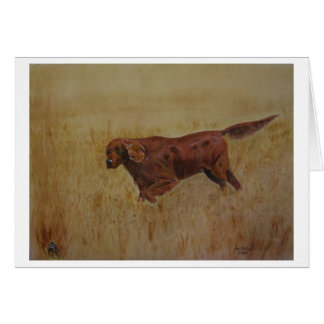 アイルランドの野外活動の日