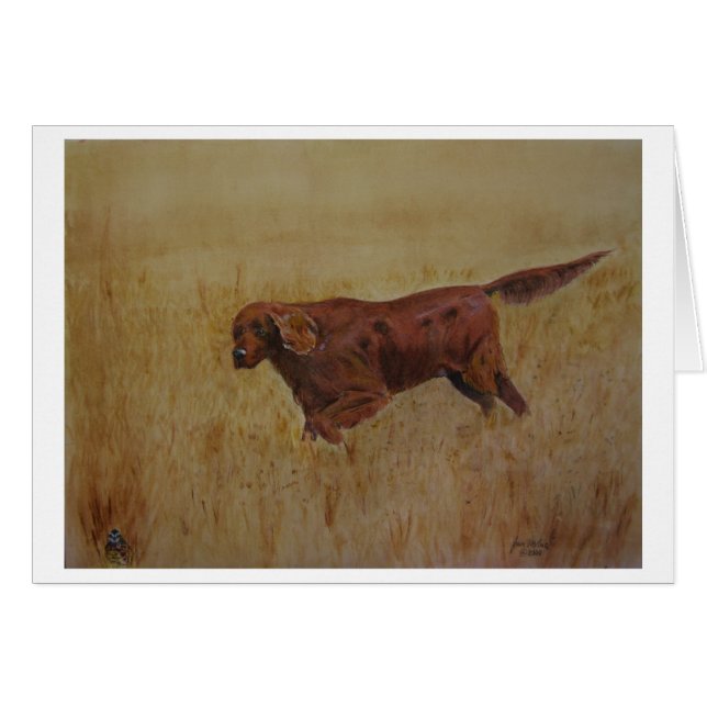 アイルランドの野外活動の日 (正面横)