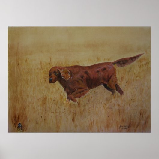 アイルランドの野外記念日 ポスター (正面)