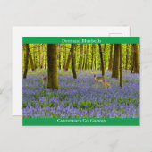 アイルランドの野生生物 ポストカード (正面/裏面)