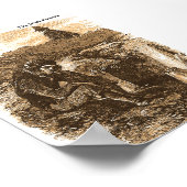 アイルランドの飢饉写真コレクションのポスター ポスター (角)