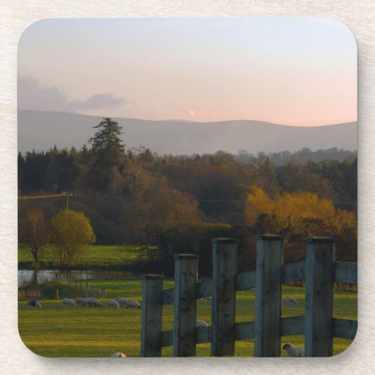 アイルランドは美 コースター (正面)