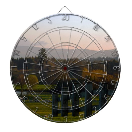 アイルランドは美 ダーツボード (正面)