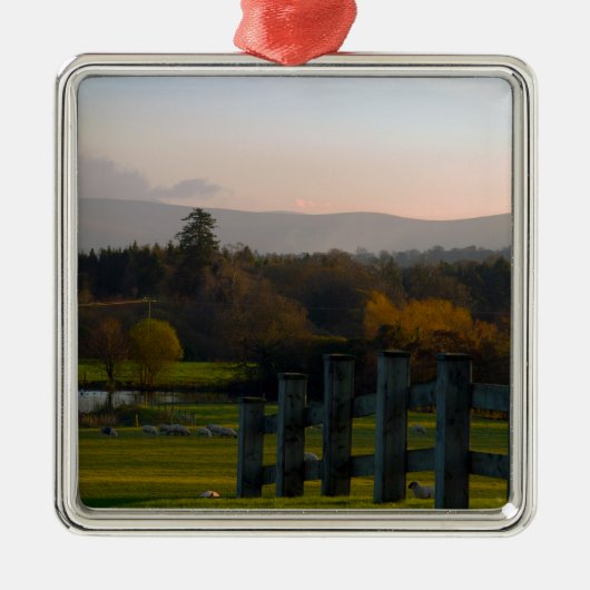 アイルランドは美 メタルオーナメント (正面)