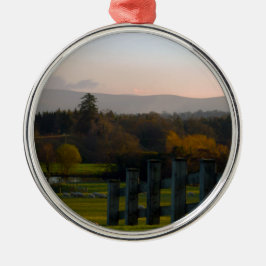 アイルランドは美 メタルオーナメント