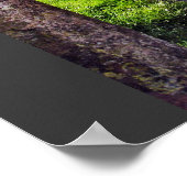 アイルランドへのプリント ポスター (角)