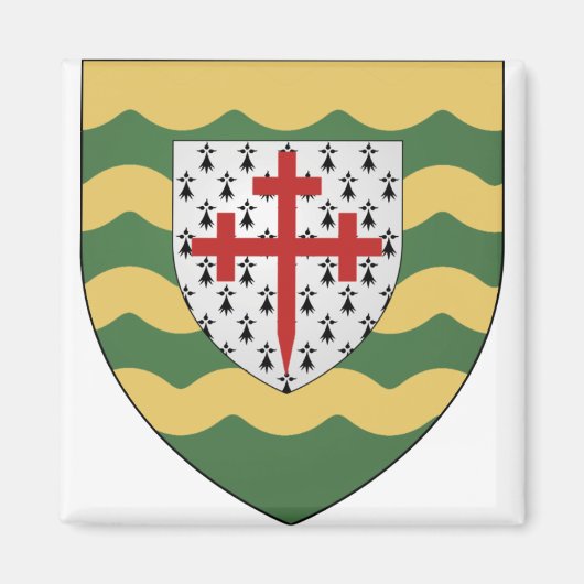 アイルランドカウンティドネガル マグネット (正面)