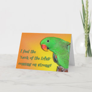 アイルランドキス カード