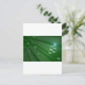 アイルランドグリーンパターンアートピースラブデスティニー ポストカード (スタンド正面)